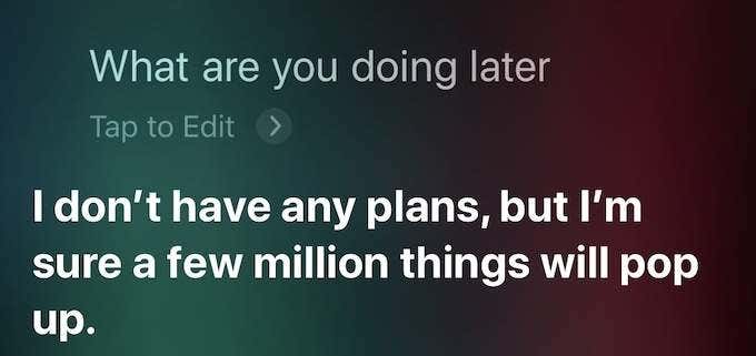 Siri's response: I don’t have any plans, but I’m sure a few million things will pop up.