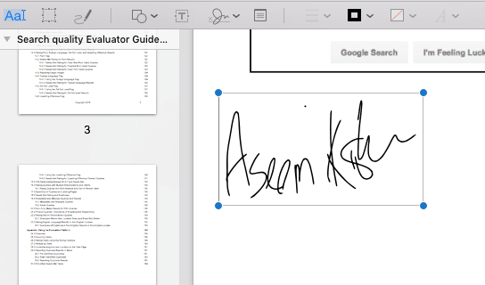 Aseem's signature selected in document