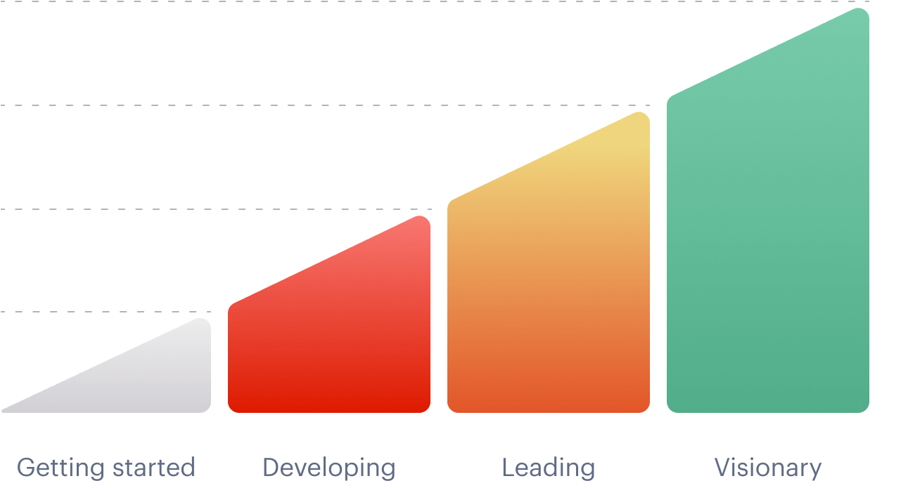 Illustration: Maturity model overview