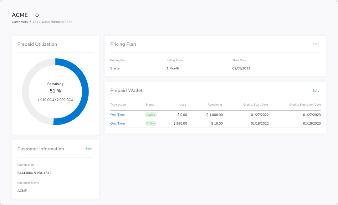 View Prepaid Credits and Real-Time Metered Invoice